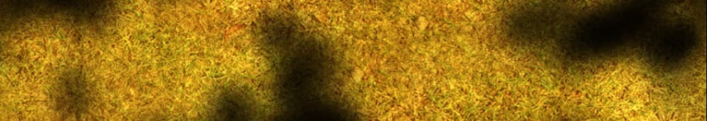 Joorrekiin (Dwayne) banner