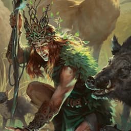 Druid image