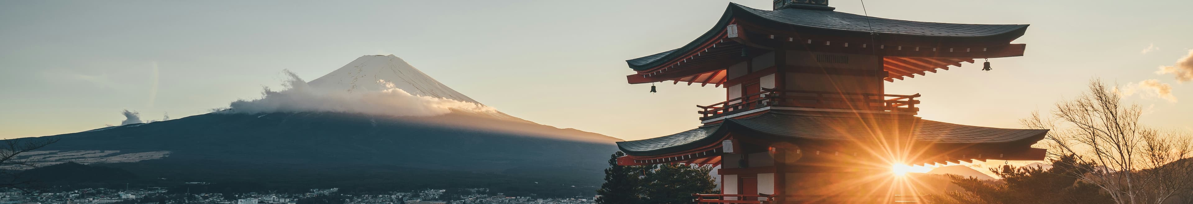 Scottish Sensei banner