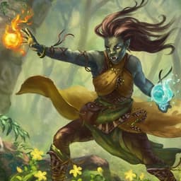 Druid image