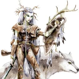 Druid image