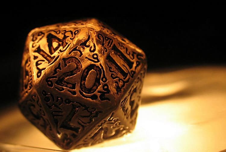 What is the D20 System?