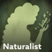 Naturalist image